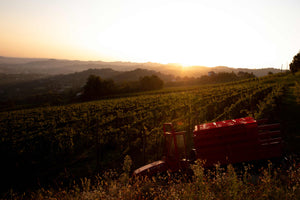 Wine Tasting Gift Card - 1 person
